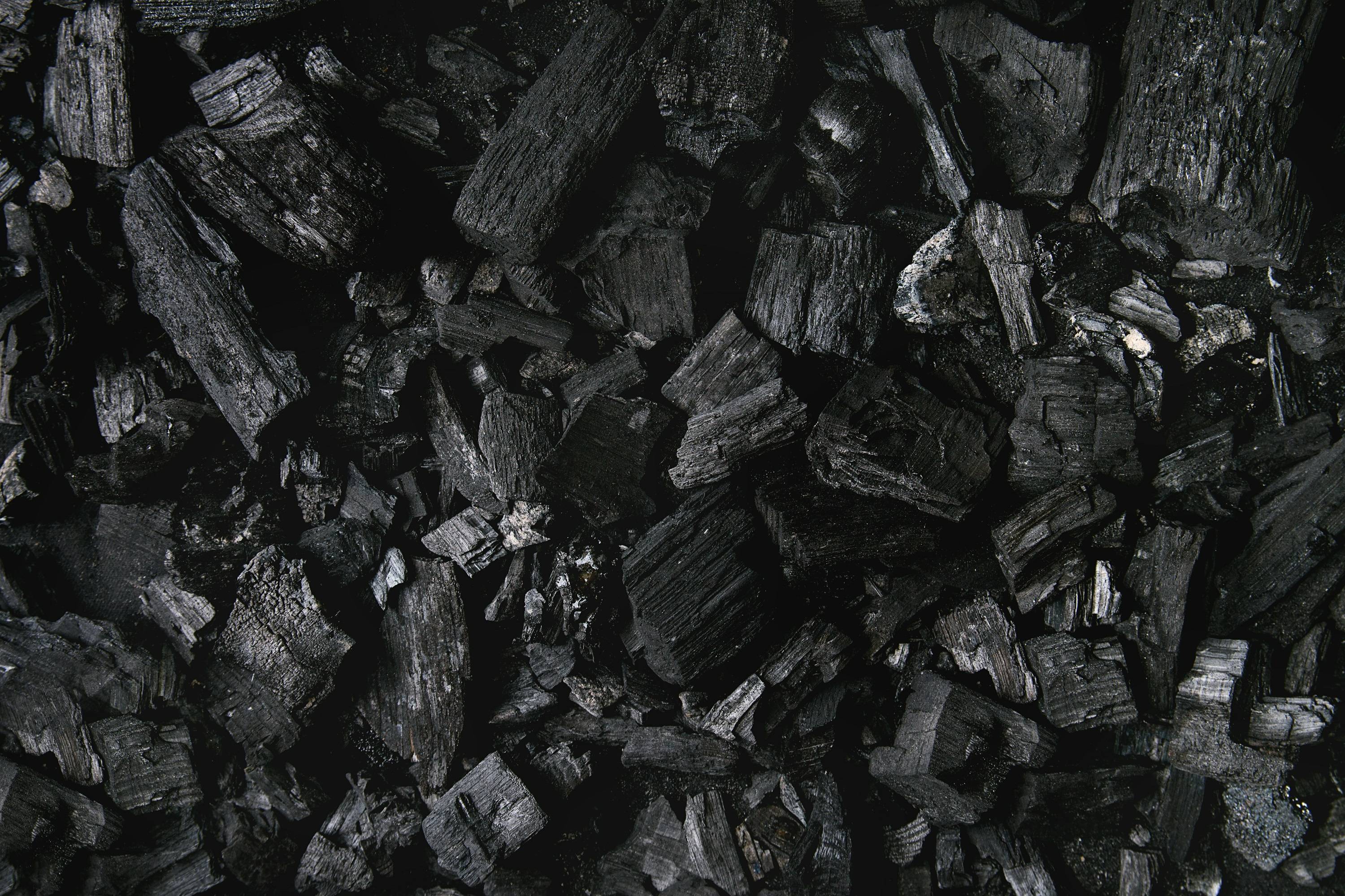 ¿Para qué sirve el 'carbón activado'?