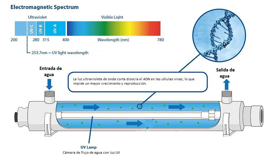 ¿Qué es y cuáles son los tipos de la luz ultravioleta?